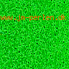 11/0 perle nr 805 - ca 20g Ceylon Neon Green